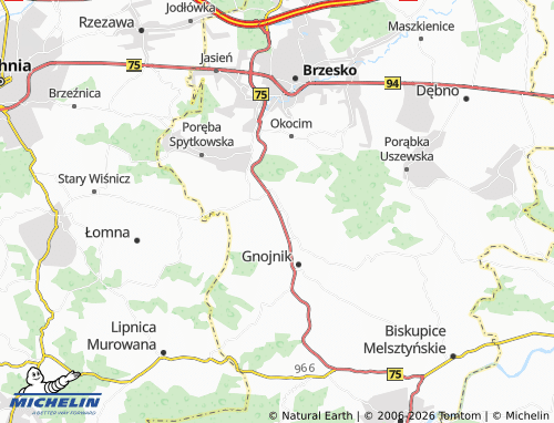 MICHELIN Uszew map - ViaMichelin