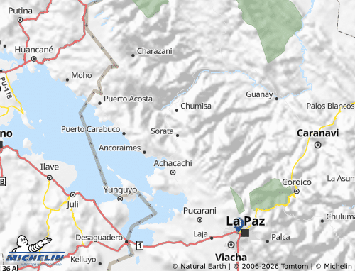 MICHELIN-Landkarte Larecaja - ViaMichelin