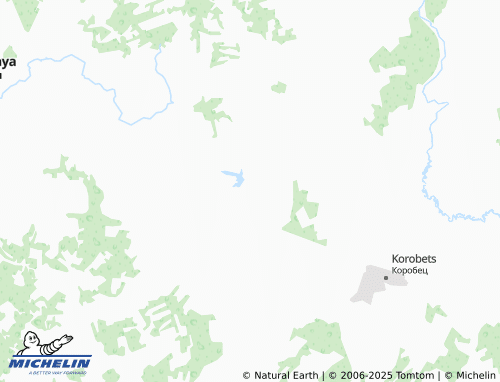MICHELIN Stayki map - ViaMichelin