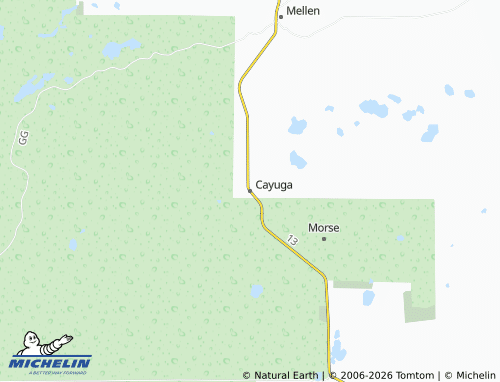 Mapa MICHELIN Cayuga - ViaMichelin