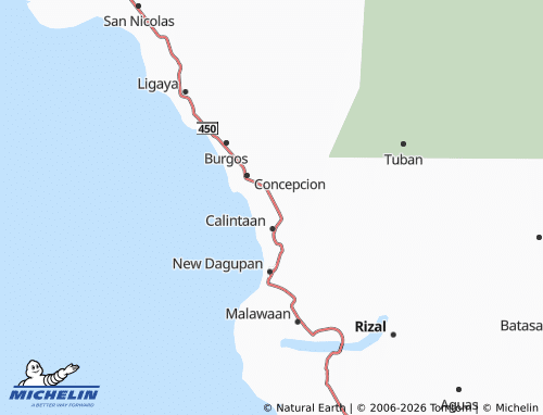MICHELIN Iriron map - ViaMichelin
