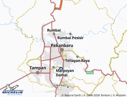 MICHELIN Rintis map - ViaMichelin