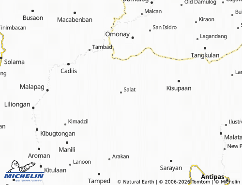 MICHELIN Salat map - ViaMichelin