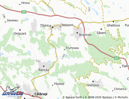 MICHELIN Frumoasa map - ViaMichelin