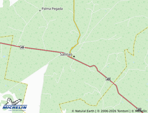 MICHELIN Salinas map - ViaMichelin