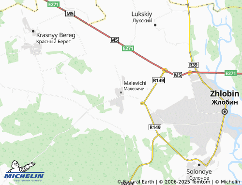 MICHELIN Malevichi map - ViaMichelin