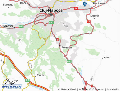MICHELIN Feleacu map - ViaMichelin