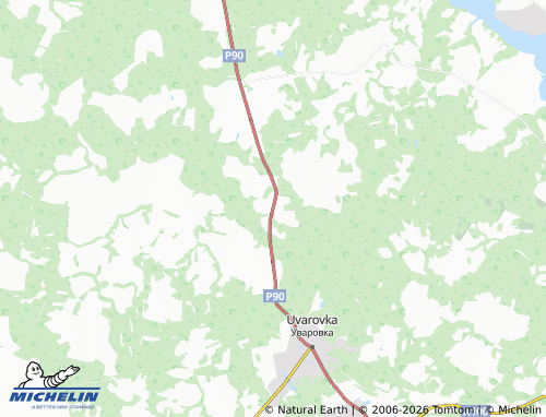 Carte MICHELIN Rogachevo - ViaMichelin