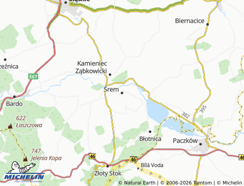 Mappa MICHELIN Śrem - ViaMichelin