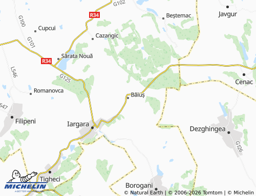 Mappa MICHELIN Băiuș - ViaMichelin
