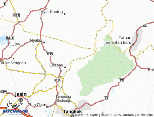 MICHELIN Taman Gunung Asahan map - ViaMichelin