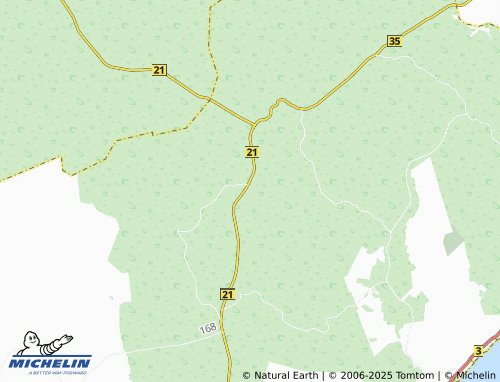 MICHELIN Lepiksaare map - ViaMichelin