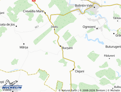 MICHELIN Bucșani map - ViaMichelin