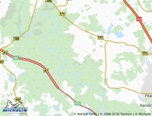 MICHELIN Rastinėnai map - ViaMichelin