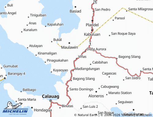 MICHELIN Viñas map - ViaMichelin