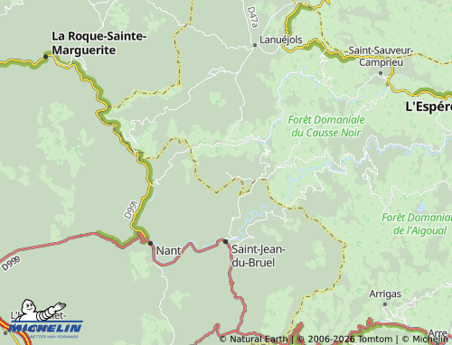 MICHELIN Causse-Bégon map - ViaMichelin