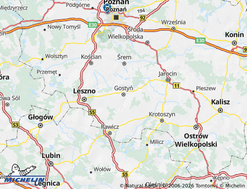 Kaart MICHELIN Gostyn (District) - ViaMichelin