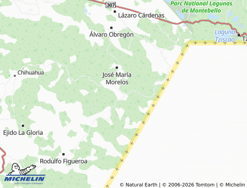 MICHELIN La Delegación map - ViaMichelin