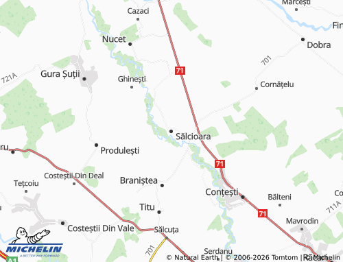 Mappa MICHELIN Sălcioara - ViaMichelin