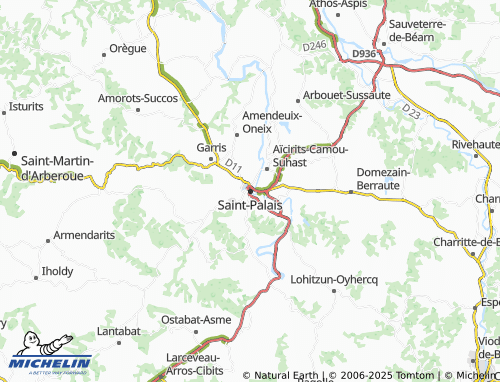 MICHELIN Saint-Palais map - ViaMichelin