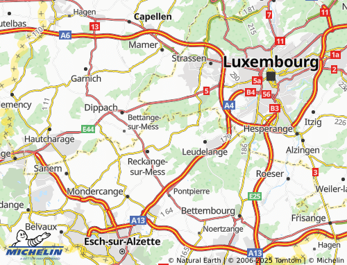 Carte MICHELIN Roedgen - ViaMichelin