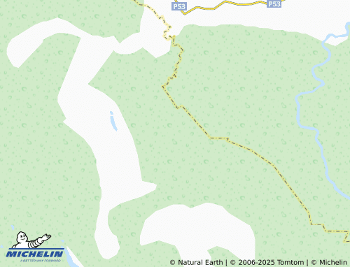 MICHELIN Buyantsevo map - ViaMichelin