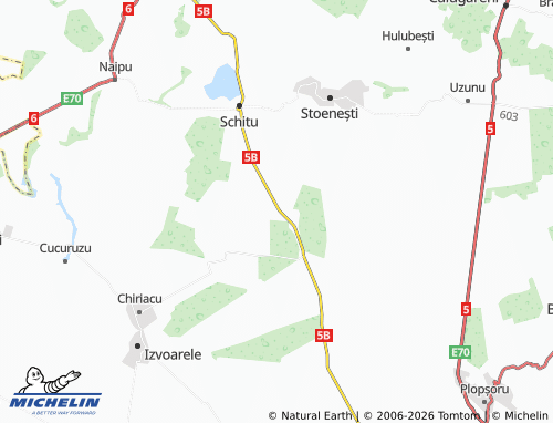 MICHELIN Vlașin map - ViaMichelin