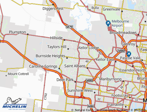 Mappa MICHELIN Delahey - ViaMichelin