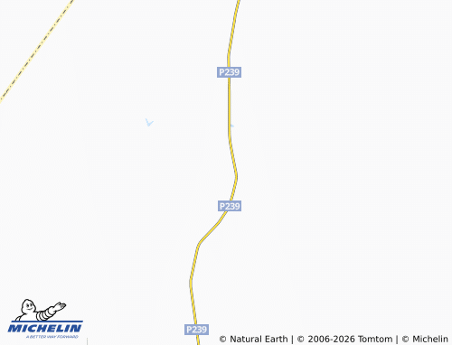 Mapa MICHELIN Yelshanka - ViaMichelin