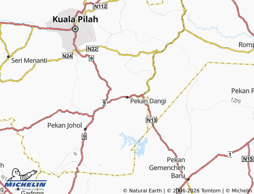 Mappa MICHELIN Pekan Dangi - ViaMichelin