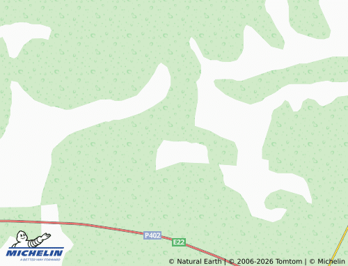 MICHELIN-Landkarte Borovlyanka - ViaMichelin