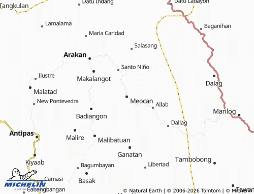 MICHELIN Meocan map - ViaMichelin