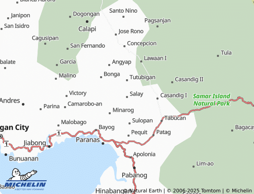 MICHELIN Salay map - ViaMichelin