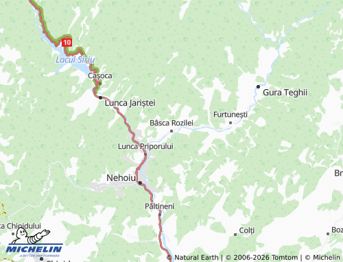 MICHELIN Bâsca Rozilei map - ViaMichelin