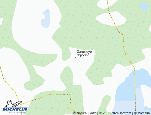MICHELIN-Landkarte Zarosloye - ViaMichelin