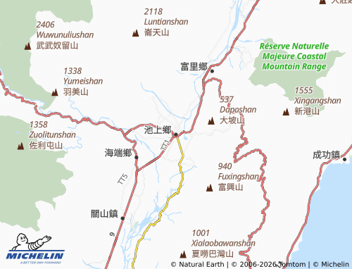 MICHELIN Chishang Township map - ViaMichelin