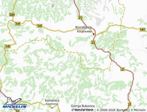 MICHELIN-Landkarte Vlaščić - ViaMichelin
