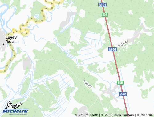 Mappa MICHELIN Vyr - ViaMichelin