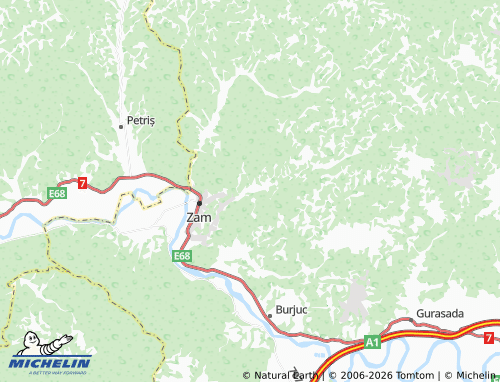 Mappa MICHELIN Tămășești - ViaMichelin