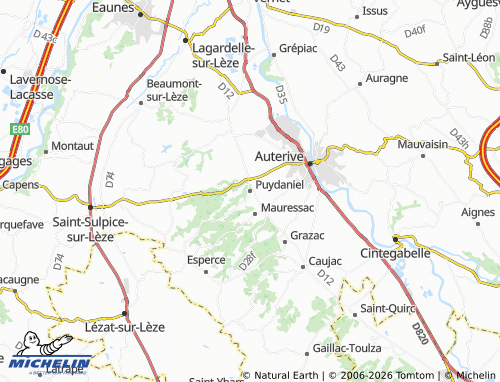 Mappa MICHELIN Puydaniel - ViaMichelin