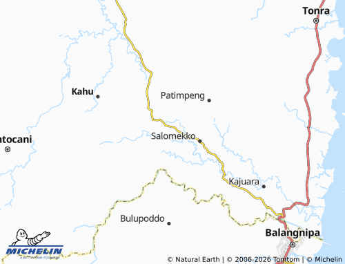 Mappa MICHELIN Arallae - ViaMichelin