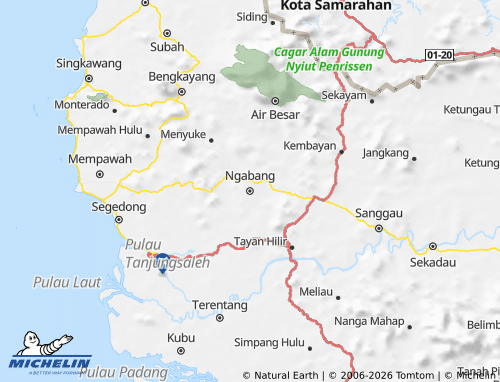 MICHELIN Landak map - ViaMichelin