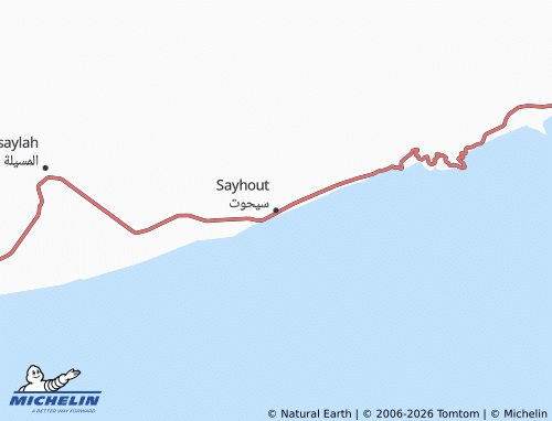 Mappa MICHELIN Sayhout - ViaMichelin
