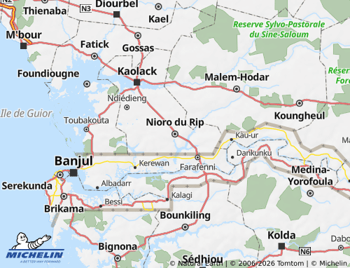 Mappa MICHELIN Nioro du Rip - ViaMichelin