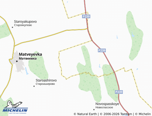 MICHELIN-Landkarte Savel'yevka - ViaMichelin