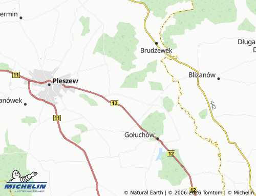 MICHELIN Pleszówka map - ViaMichelin