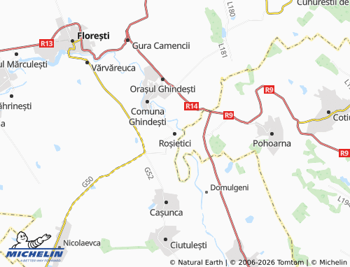 Mappa MICHELIN Roșietici - ViaMichelin