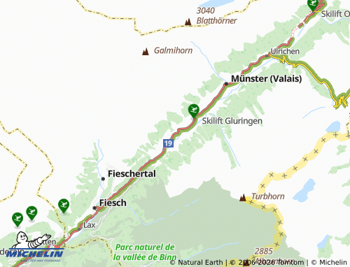 Mappa MICHELIN Selkingen - ViaMichelin