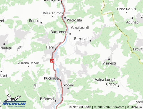 Mappa MICHELIN Broșteni - ViaMichelin