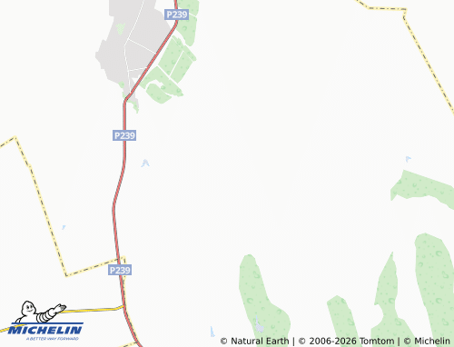 MICHELIN-Landkarte Lesnoy - ViaMichelin